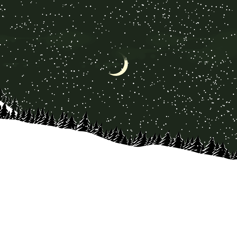Winterland #190 static token preview