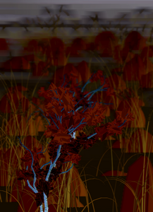 Painterly Focus project preview