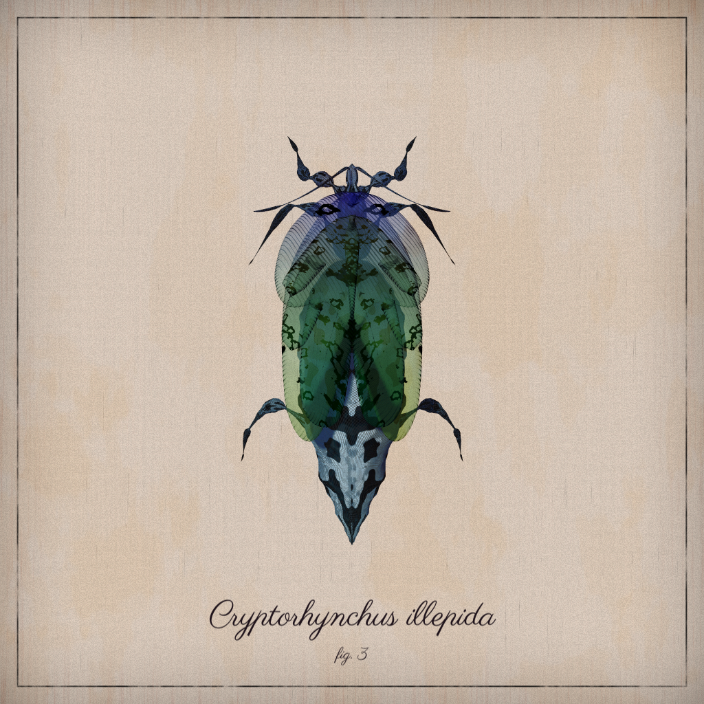 ProcGen Entomology #469 static NFT preview