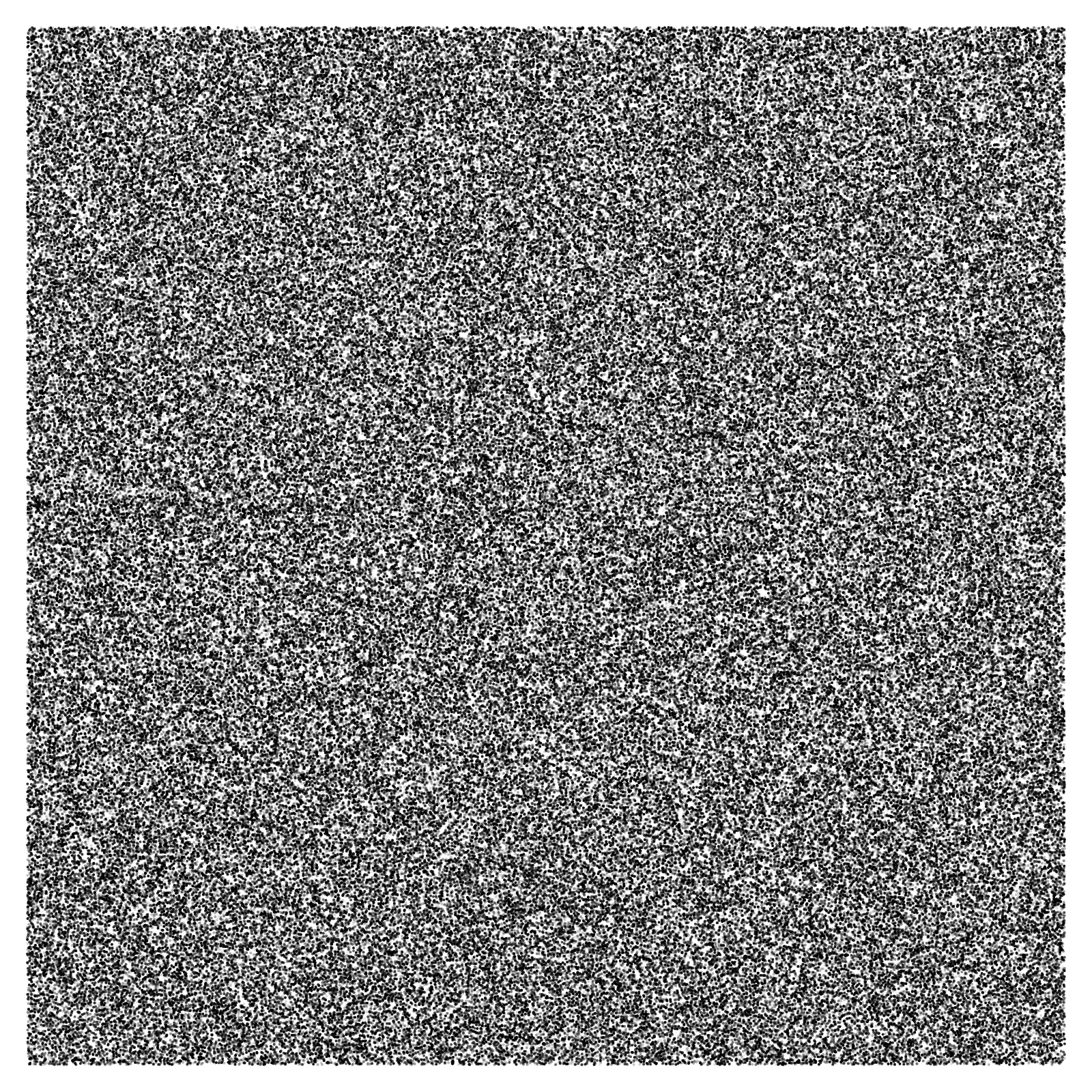 Noise #40 static token preview