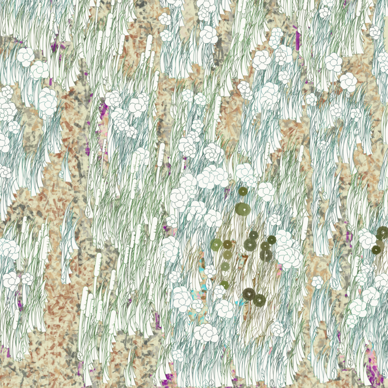 Petri 1500 #729 static NFT preview