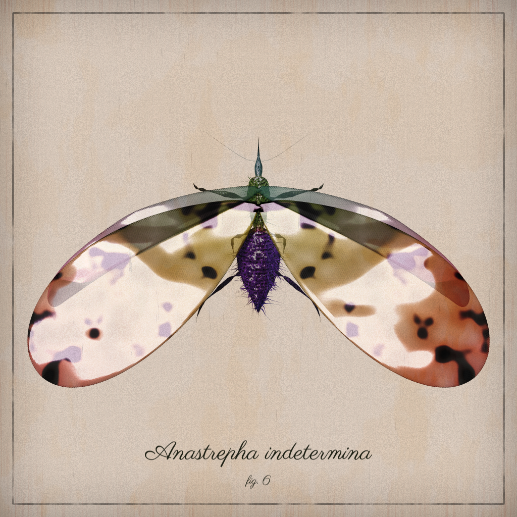 ProcGen Entomology #133 static NFT preview
