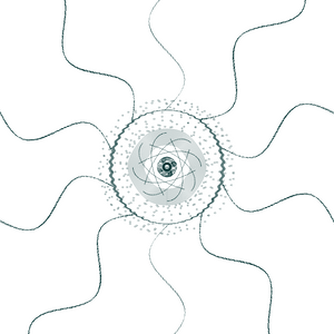 Diatom project preview