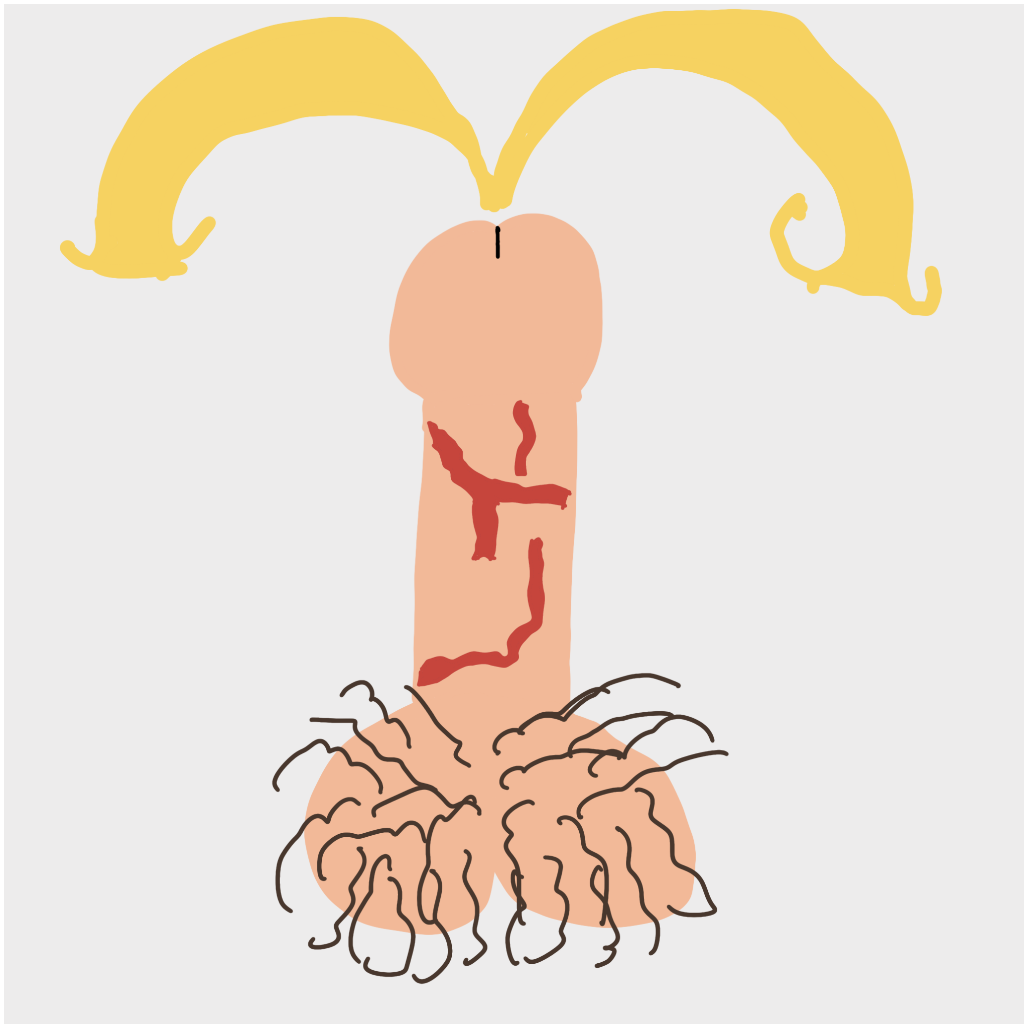 Dickgenerative Art #51 static NFT preview