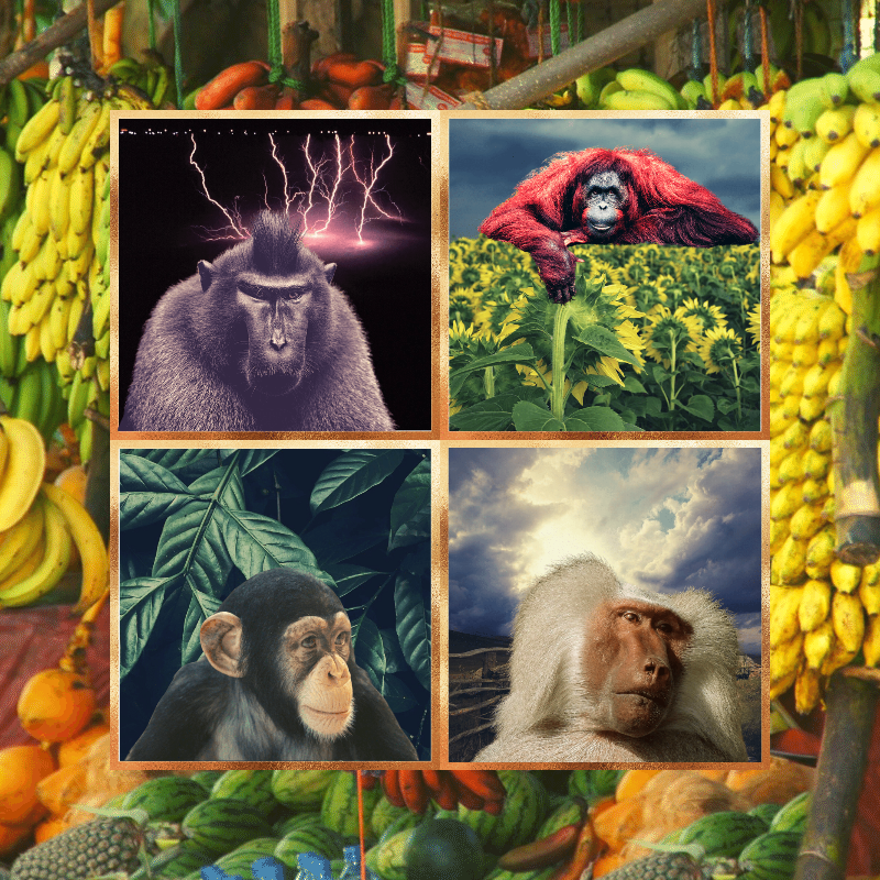 Banana legends #53 static token preview