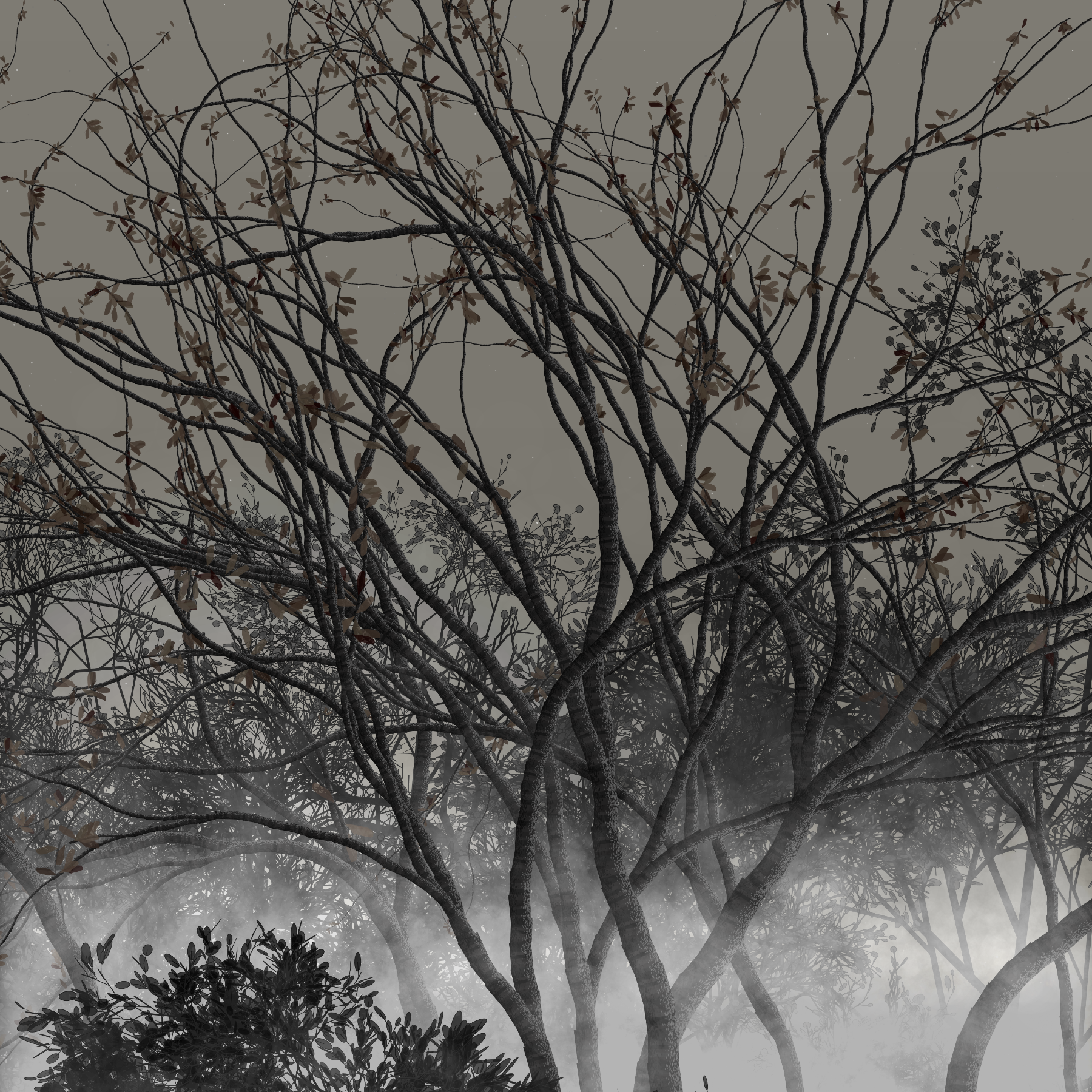 Morning Mist #38 static token preview