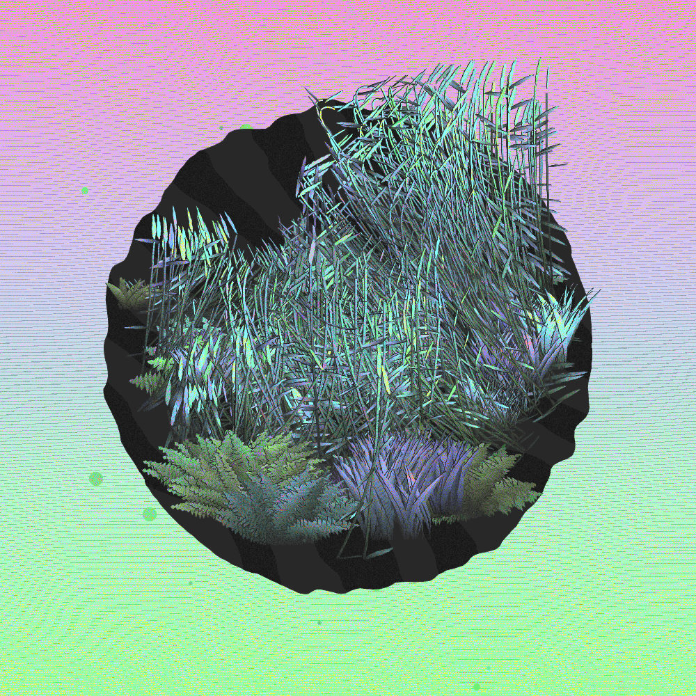 A Gift of Nature #81 static NFT preview