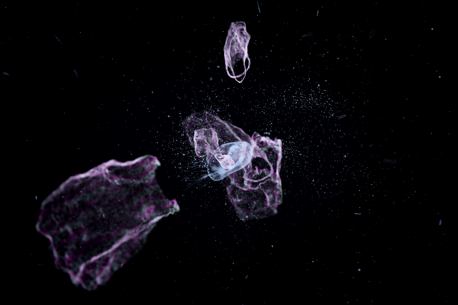 Turtle Vision #168 static NFT preview