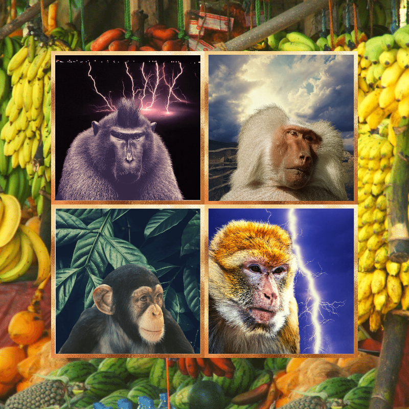 Banana legends #66 static token preview