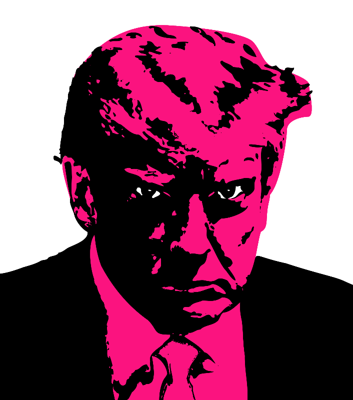 Donald Trump #47 static NFT preview