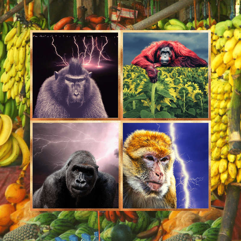 Banana legends #16 static NFT preview