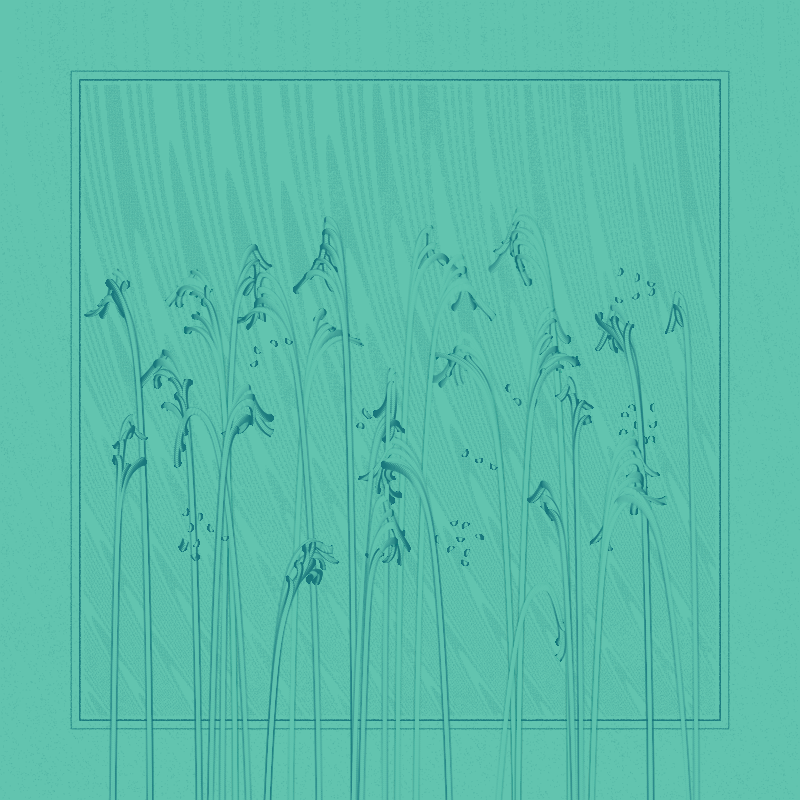 string_pllu #98 static NFT preview