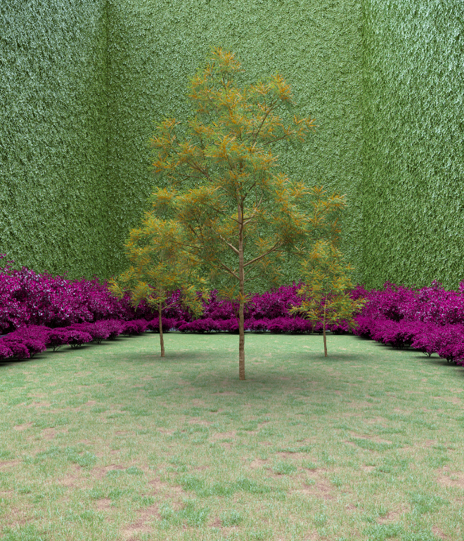 Garden of Imagination #26 static token preview