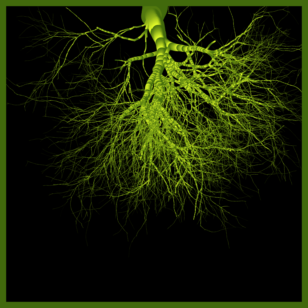 Arbres suspendus #120 static token preview