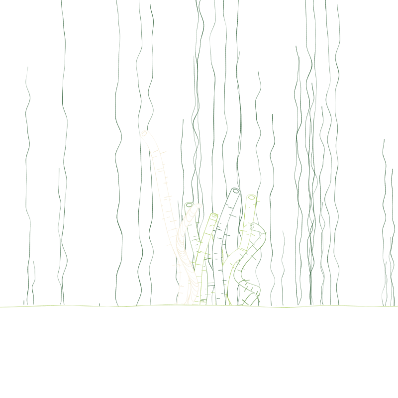 The Good Corals #110 static NFT preview