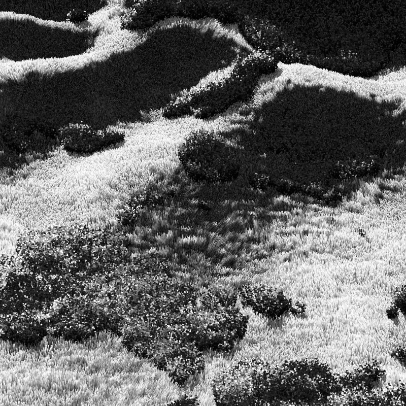 California Hills in Late Sun #191 static NFT preview