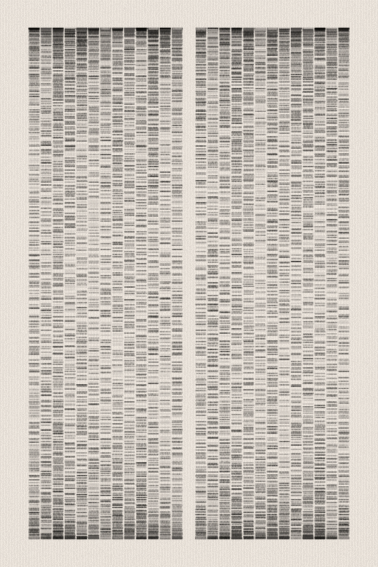 Sequence #167 static token preview