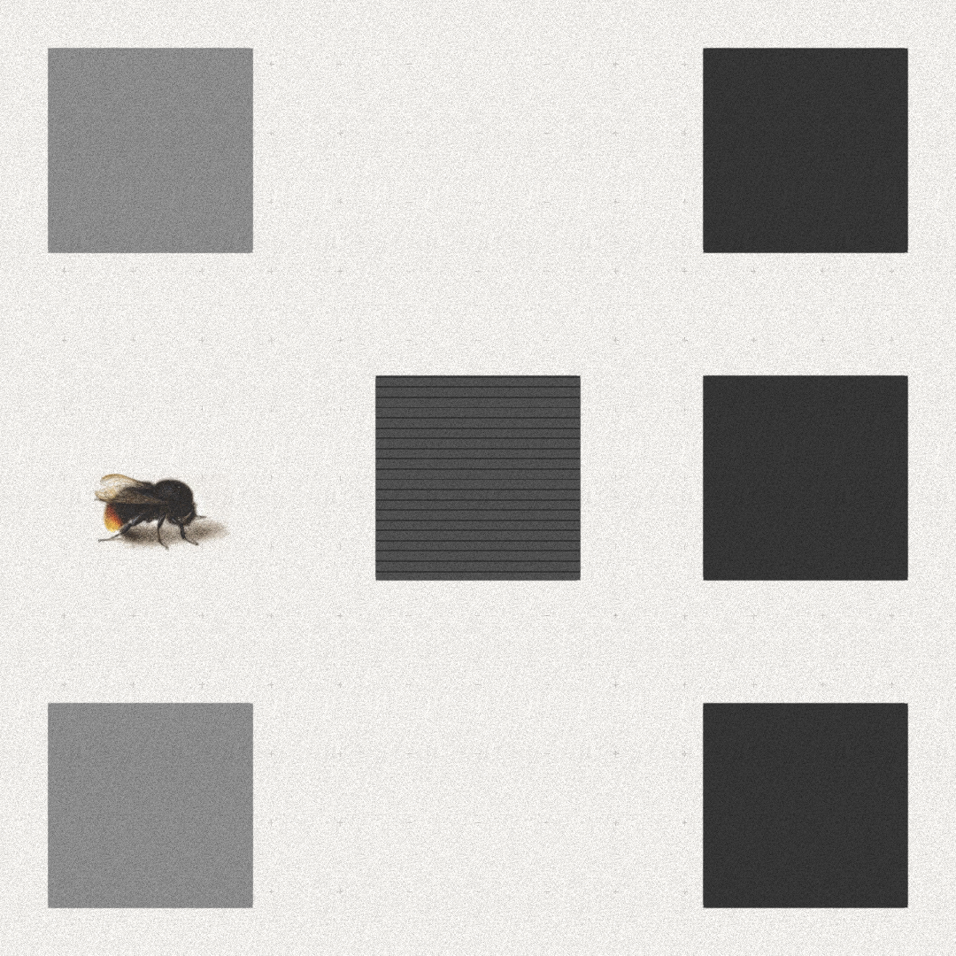 Bee #86 static token preview