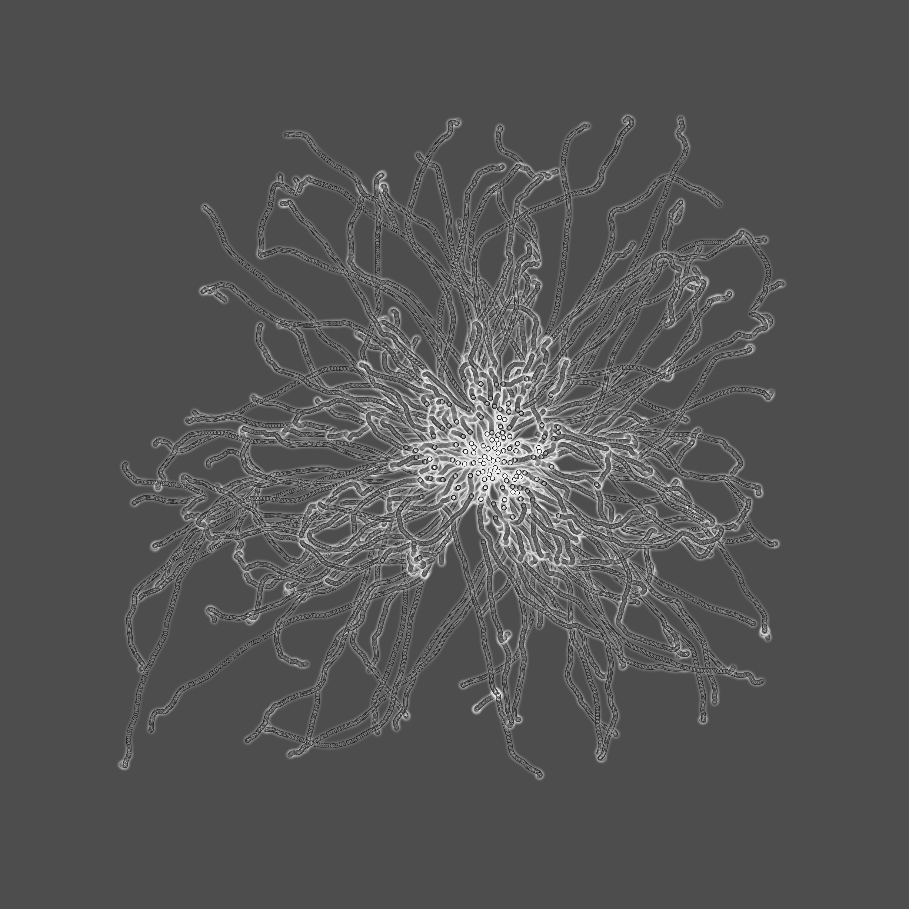grey fungi wisdom #76 static token preview