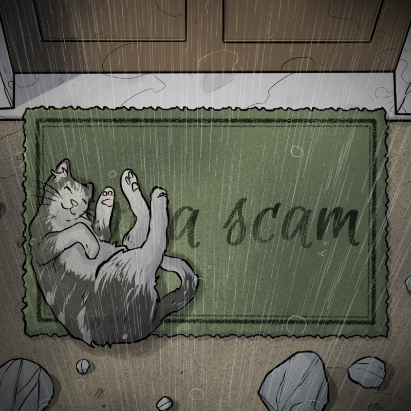 NOT A RUG #155 static token preview
