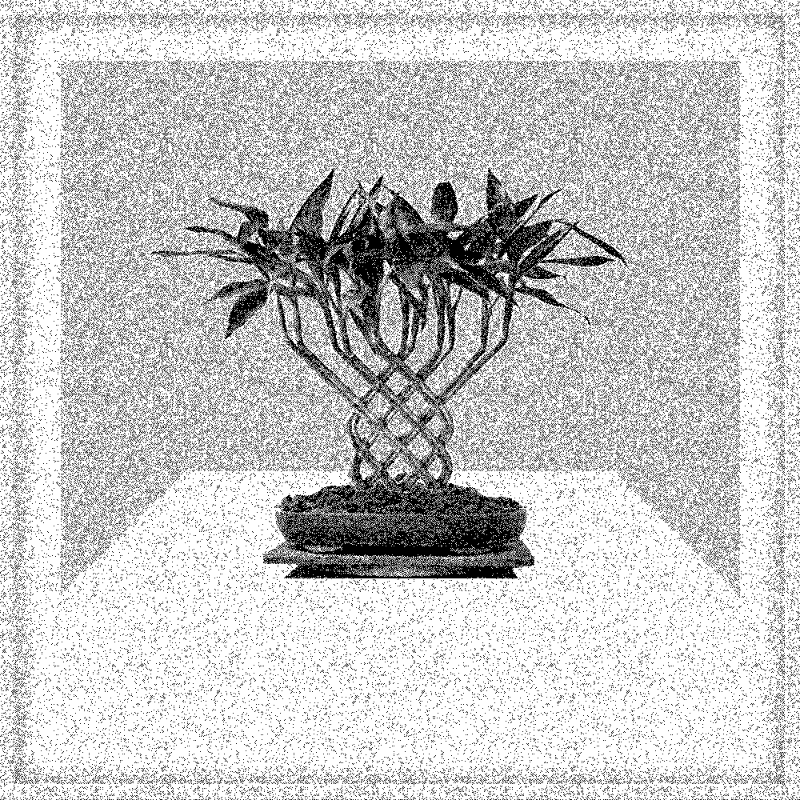 Bonsai Bonanza #762 static token preview