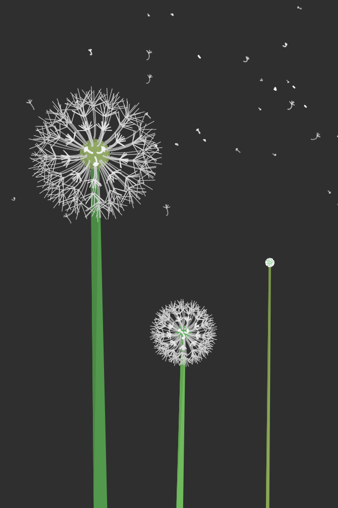 Interactive Seeds #27 static token preview