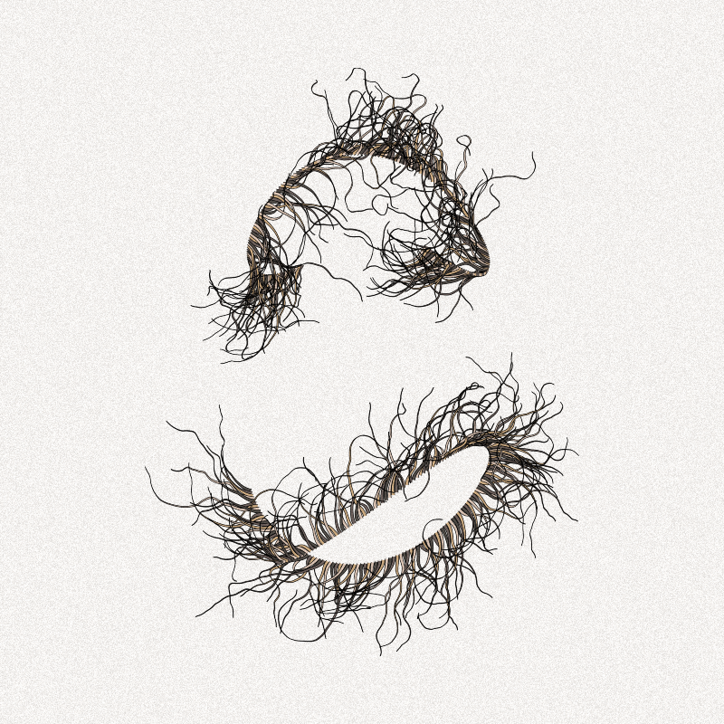365 Tentacles #210 static token preview