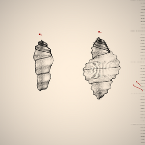Two Specimen project preview