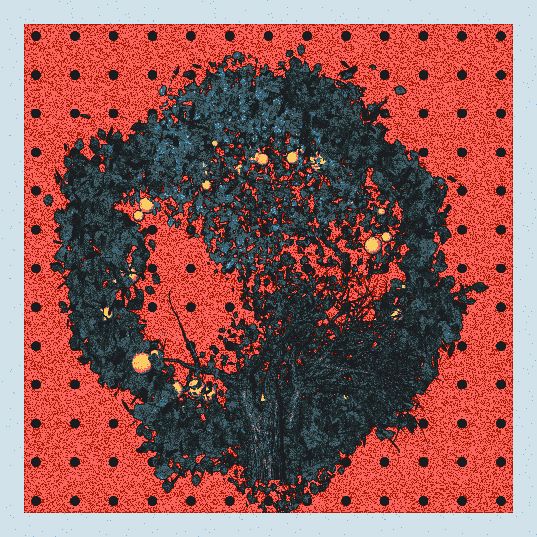 _argania[primaria] #273 static NFT preview
