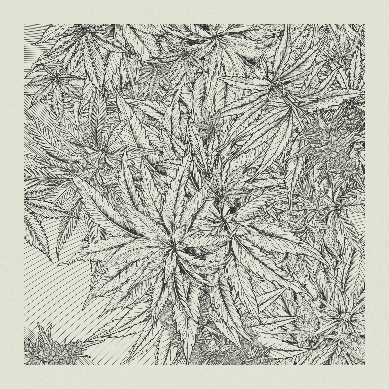 zancannabis #54 static NFT preview