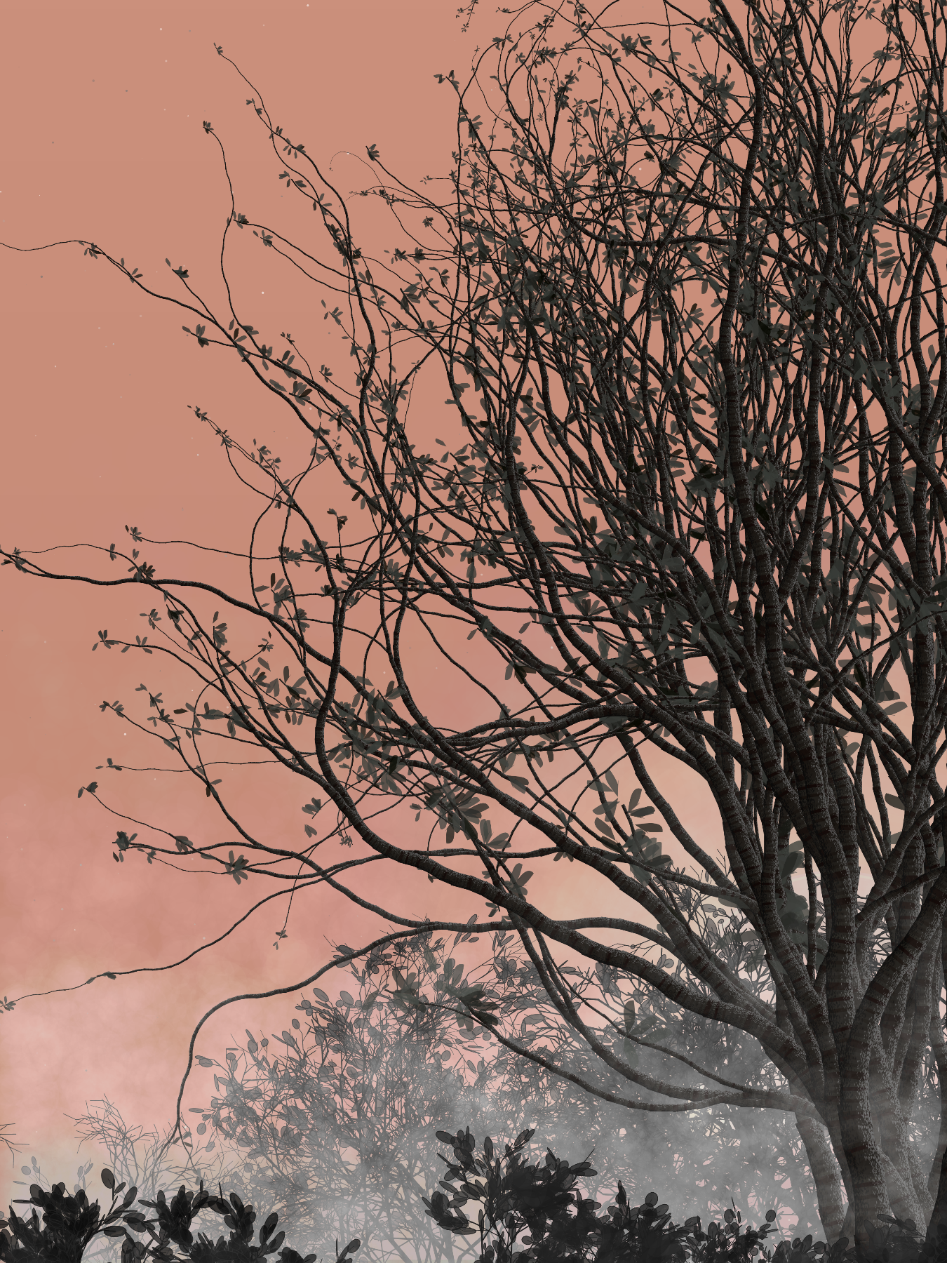 Morning Mist #143 static token preview