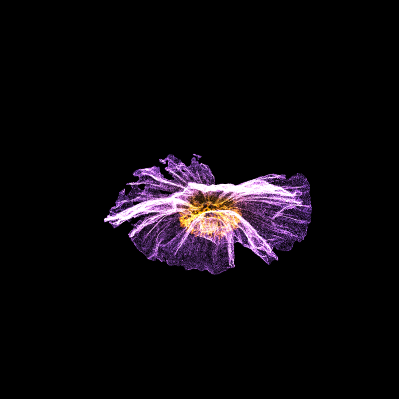 White Poppy 30 #125 static token preview