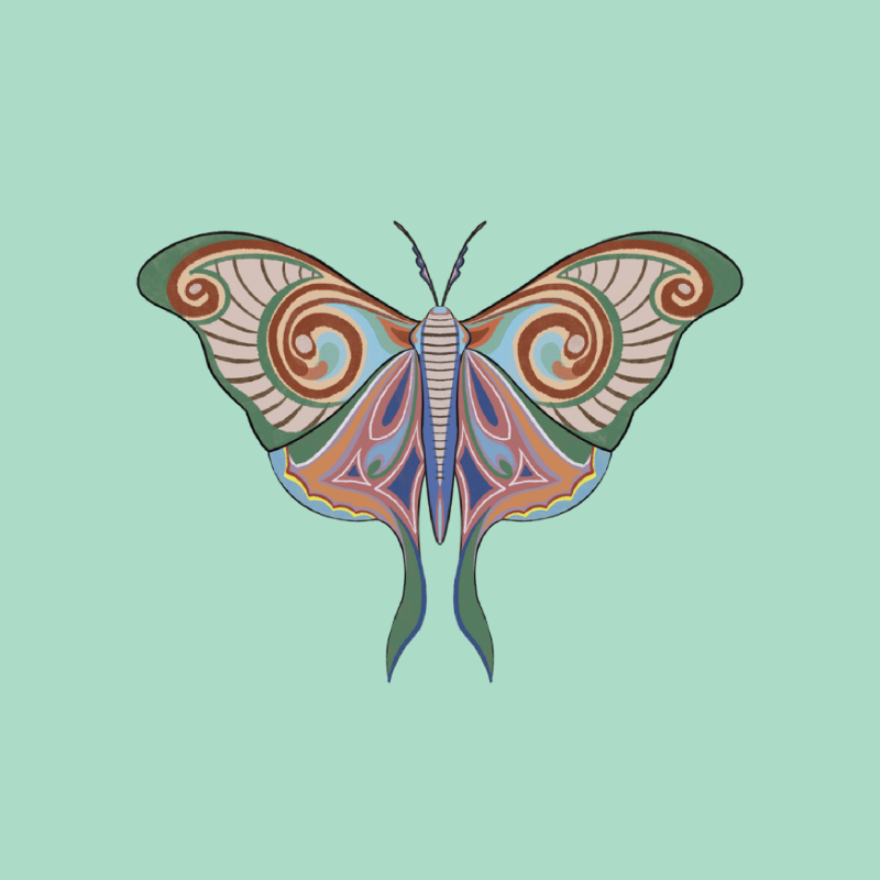 The Moth Experiment 2.0 P1 #1 static token preview