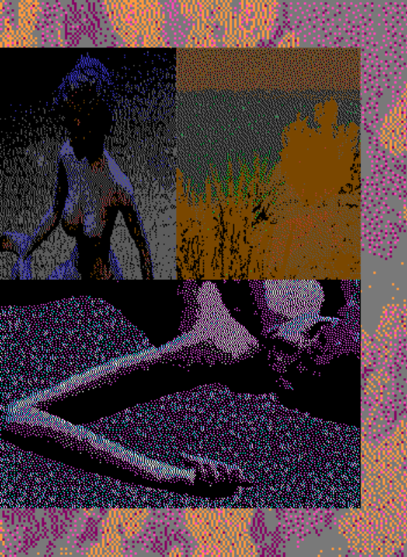 Pages #76 static NFT preview