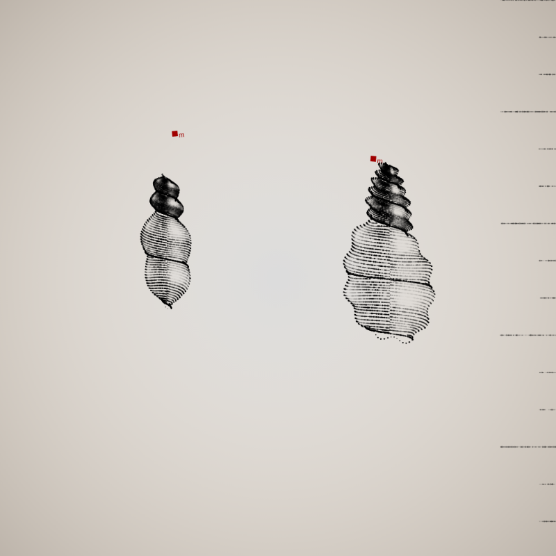 Two Specimen #85 static token preview