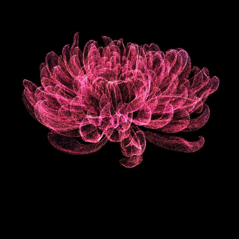 Chrysanthemum Morifolium 30 #45 static token preview