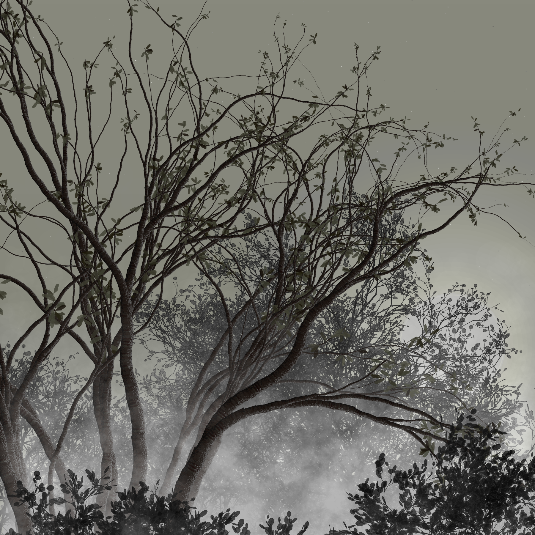 Morning Mist #141 static token preview