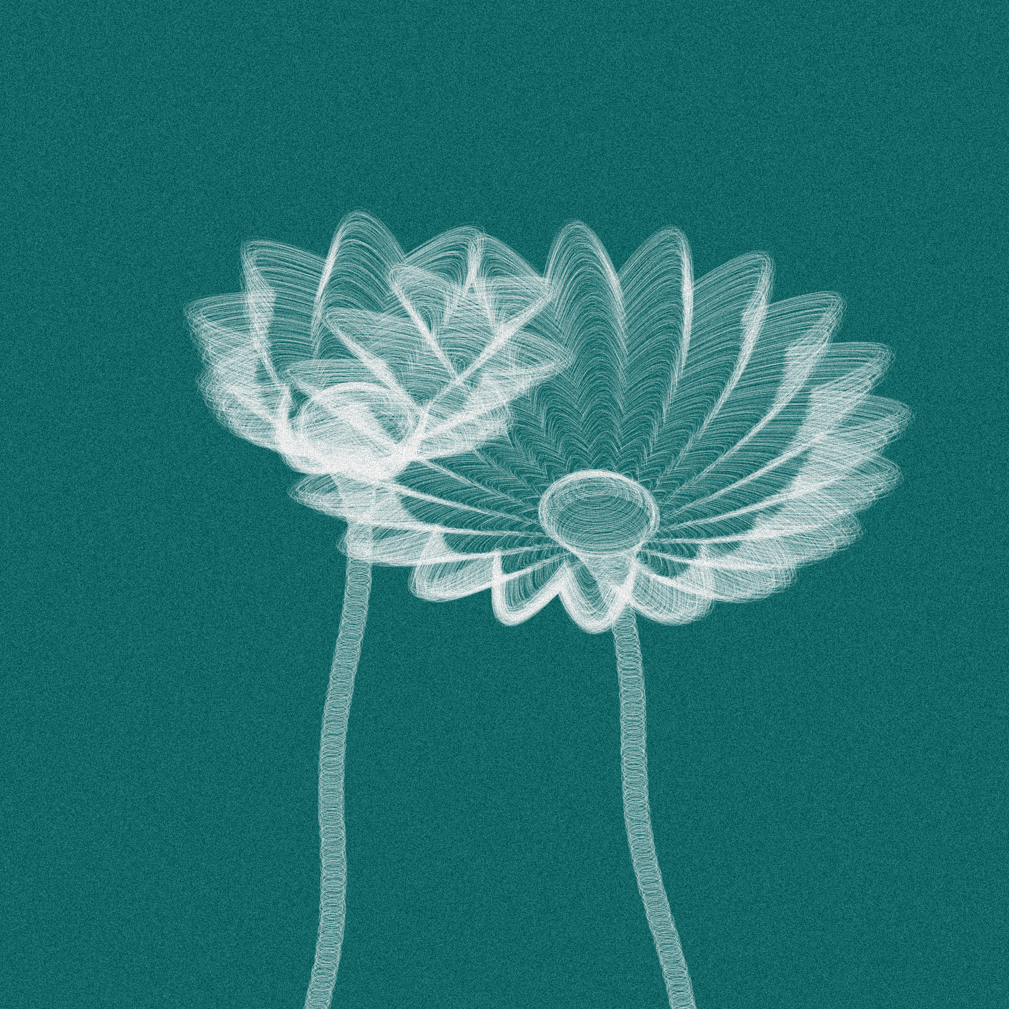 Code Flowers #37 static NFT preview