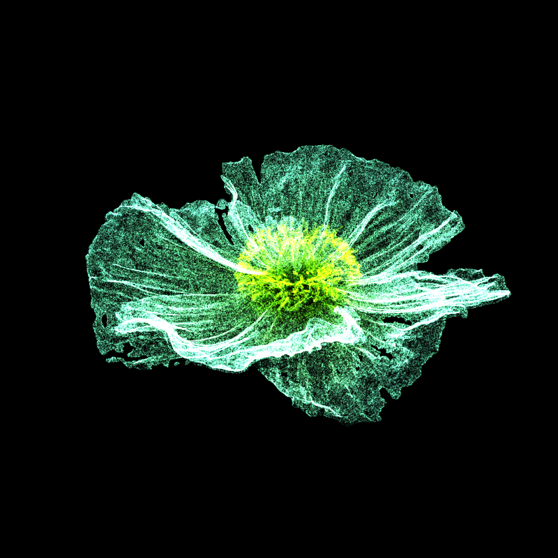 White Poppy 30 #65 static token preview