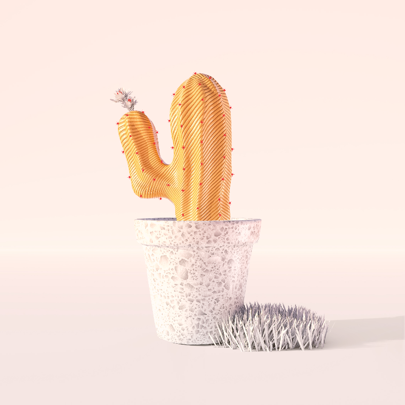 3D Crypto Cacti #24 static token preview