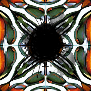 Spoiled Symmetry [QT4FN] project preview