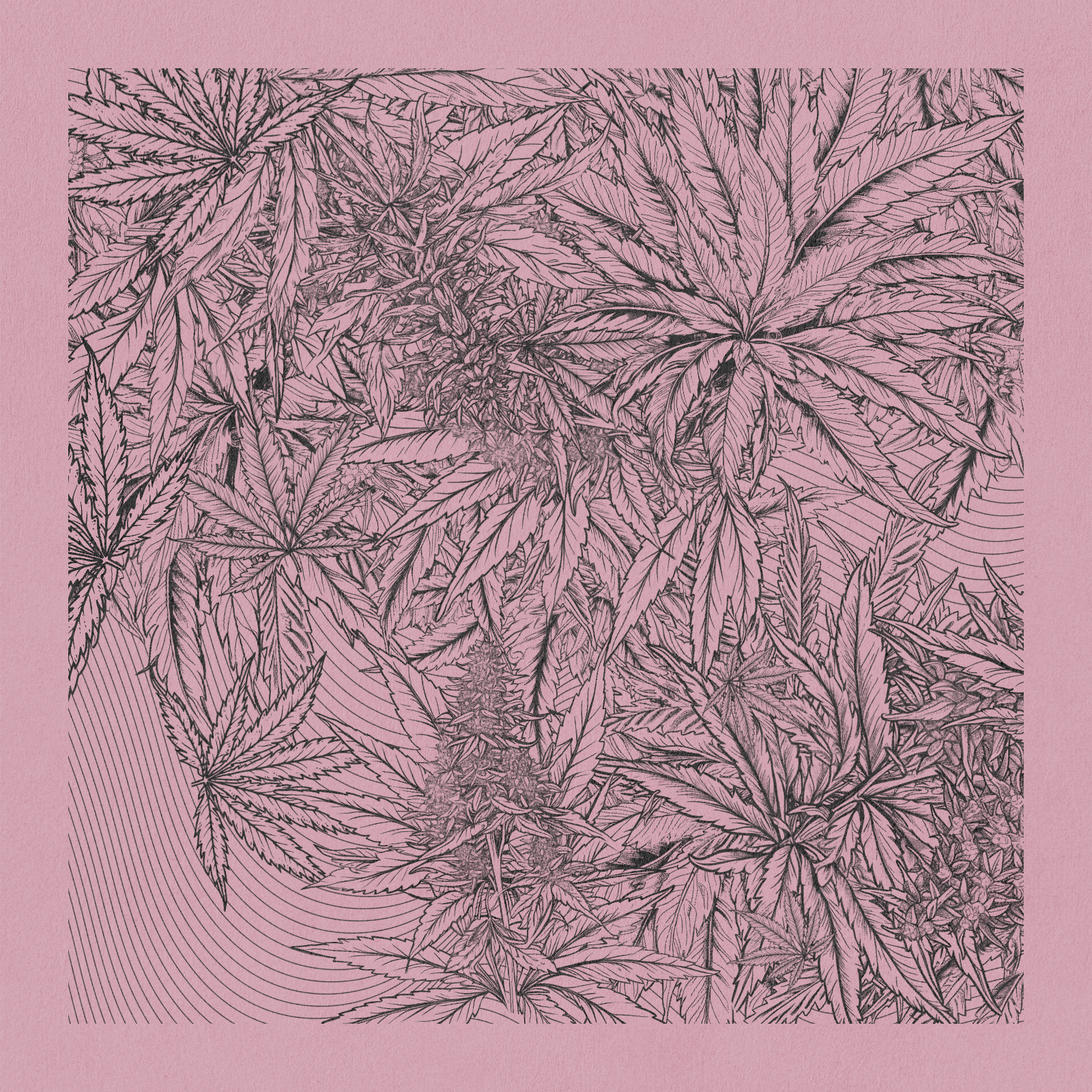 zancannabis #252 static NFT preview