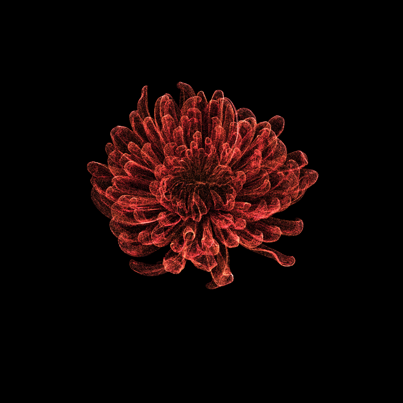 Chrysanthemum Morifolium 30 #92 static token preview