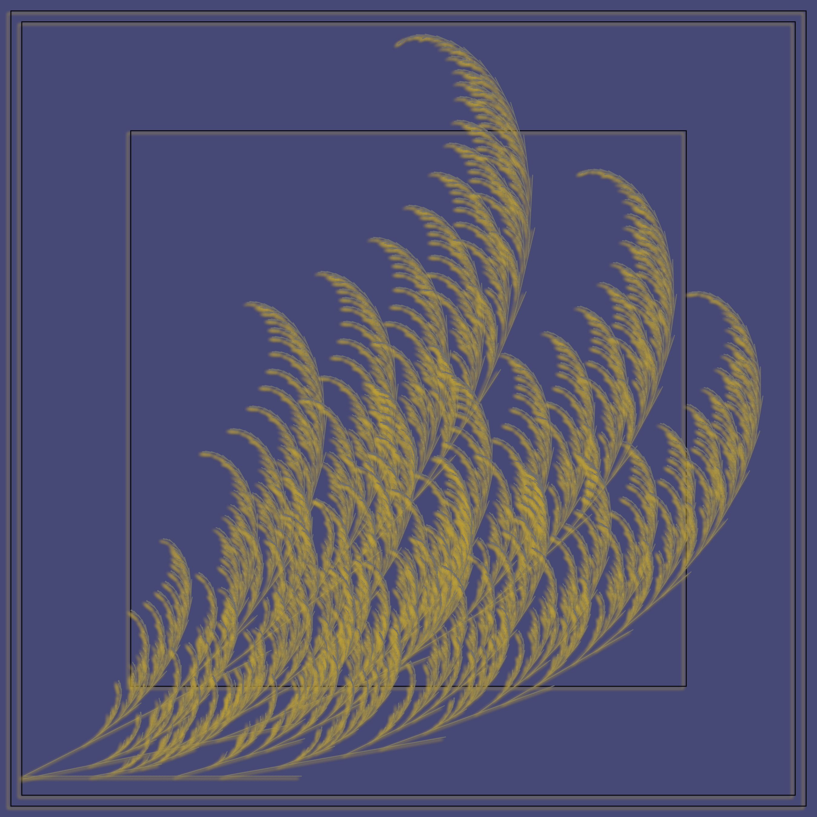 Fern #11 static token preview