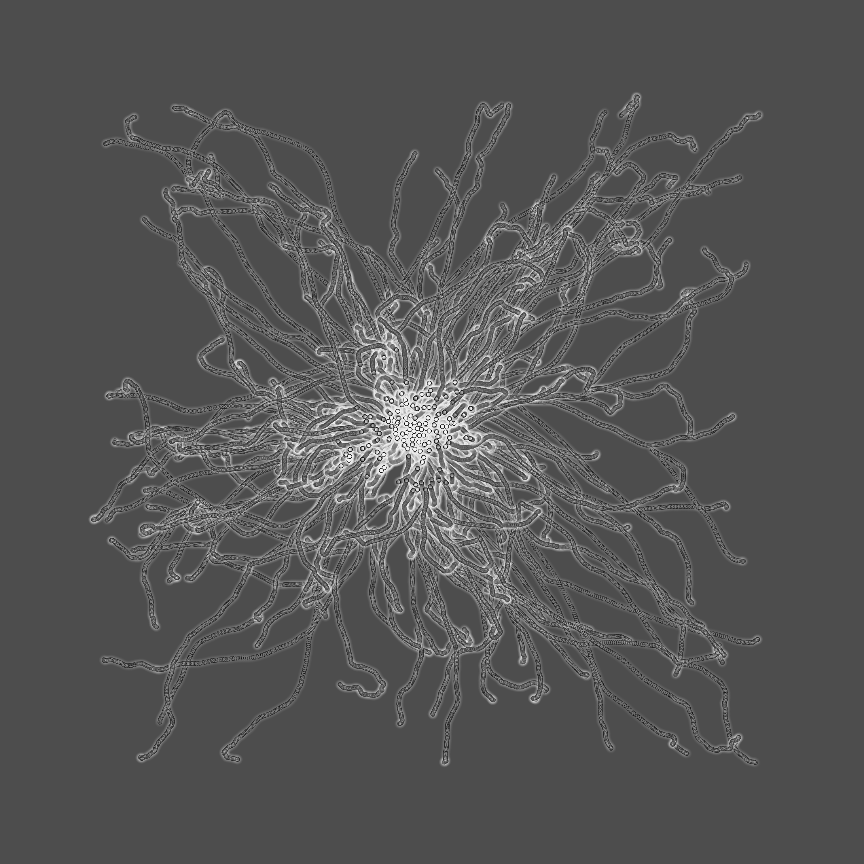 grey fungi wisdom #78 static token preview