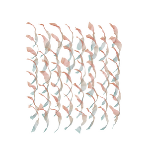 Iribhoni project preview