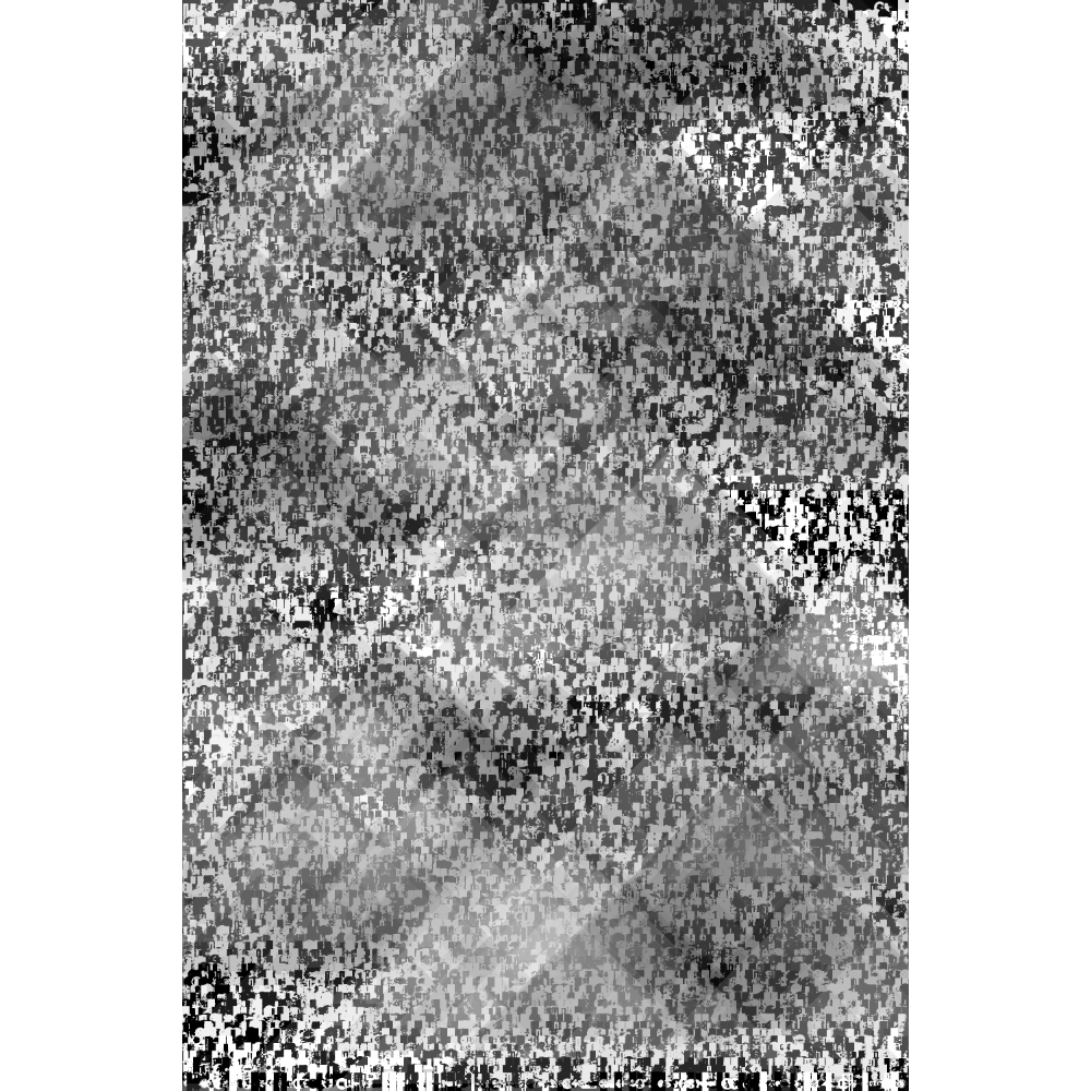 Etude B&W #260 static NFT preview