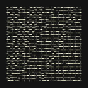 SOUTHERN BLOT project preview