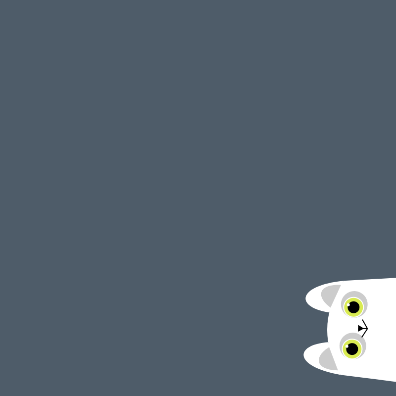 Where is the cat? #5 static token preview