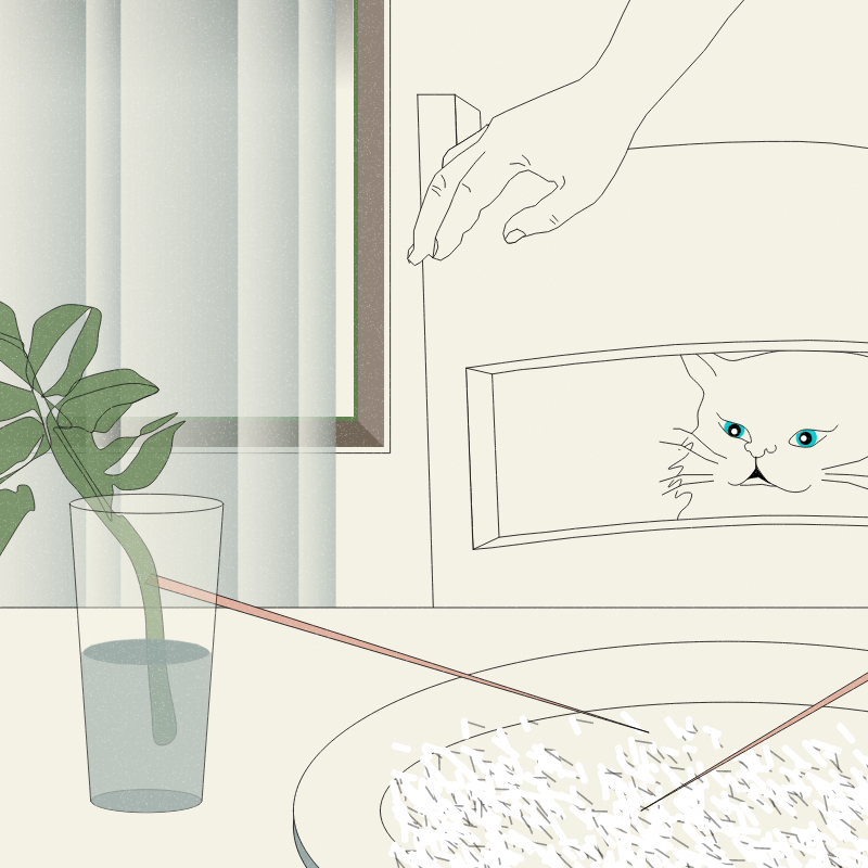 Still Life #6 #19 static token preview